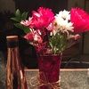Kathy Digregorio - @kathycard66 - Poshmark